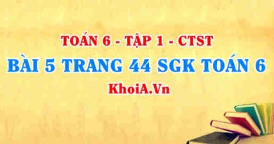 Bài 5 trang 44 SGK Toán 6 Tập 1 Chân trời sáng tạo